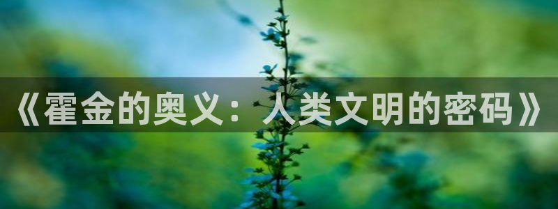 米兰电竞登录入口：《霍金的奥义：人类文明的密码》
