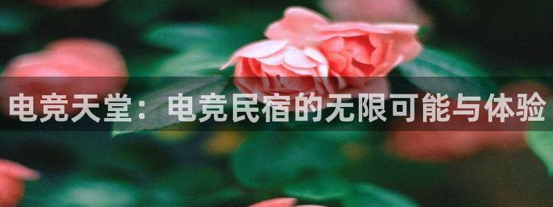 米兰电竞体育：电竞天堂：电竞民宿的无限可能与体验