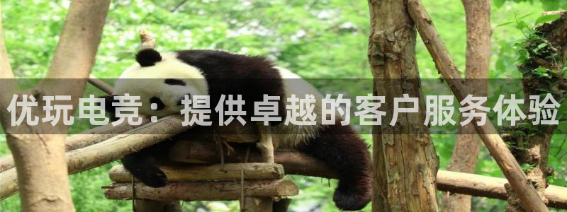 米兰电竞下载：优玩电竞：提供卓越的客户服务体验