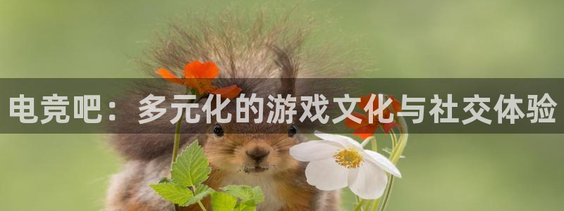 米兰电竞App官方：电竞吧：多元化的游戏文化与社交体验